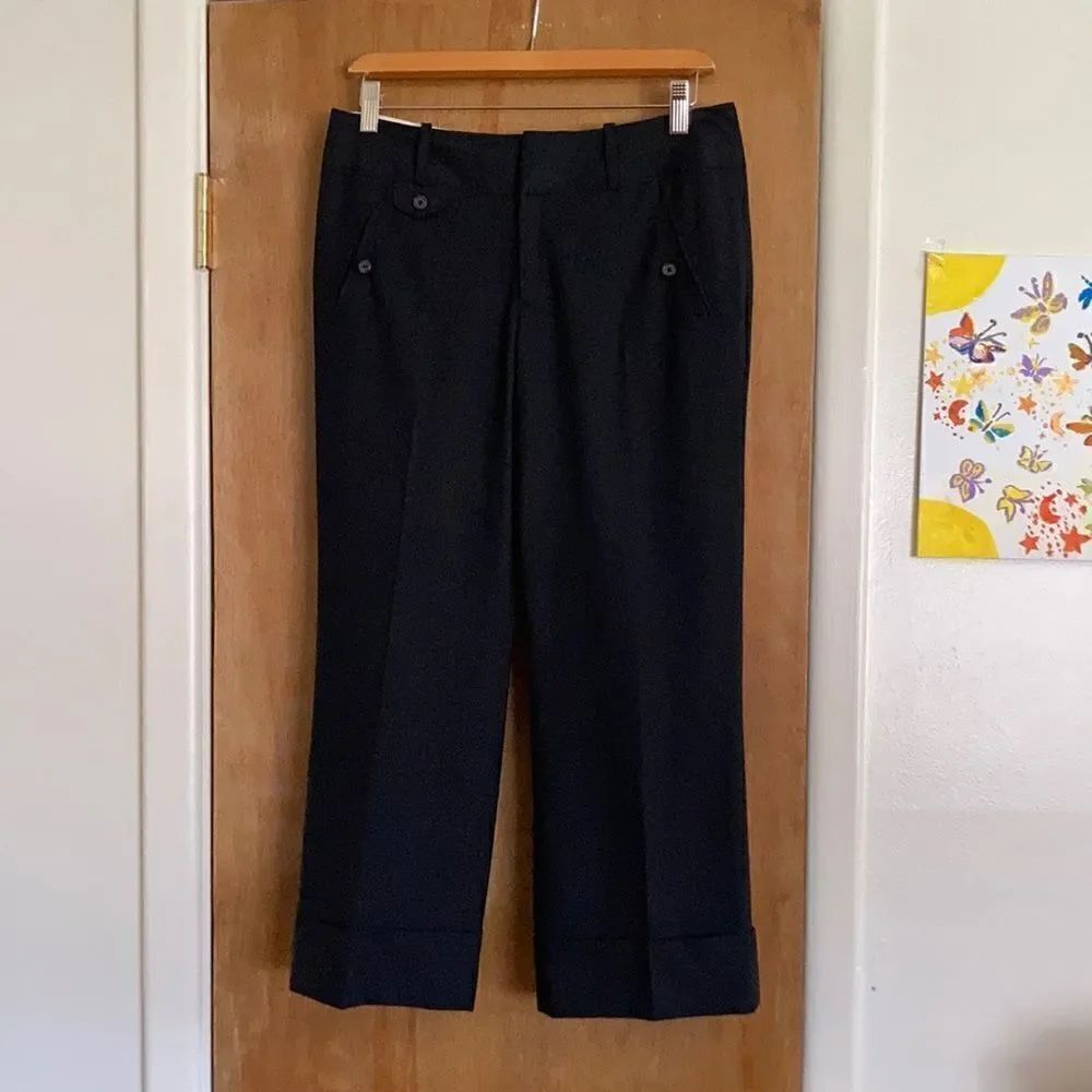 Banana Republic Martin Wide Leg Pants
